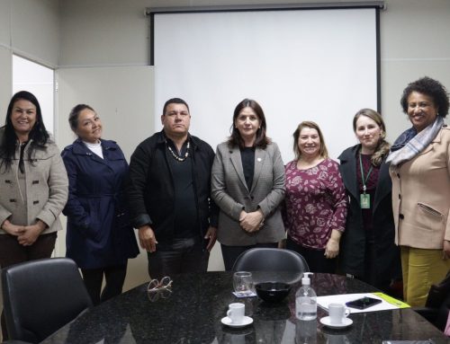 Reunião define criação de colegiado para qualificação da atenção básica e especializada prestada aos povos indígenas de SC